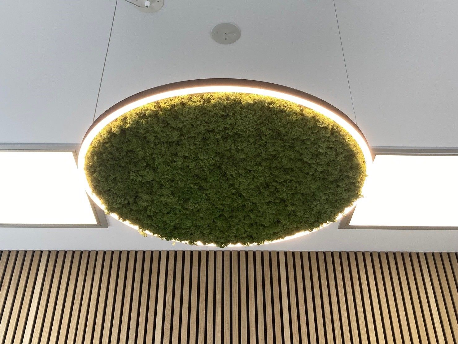 service-image