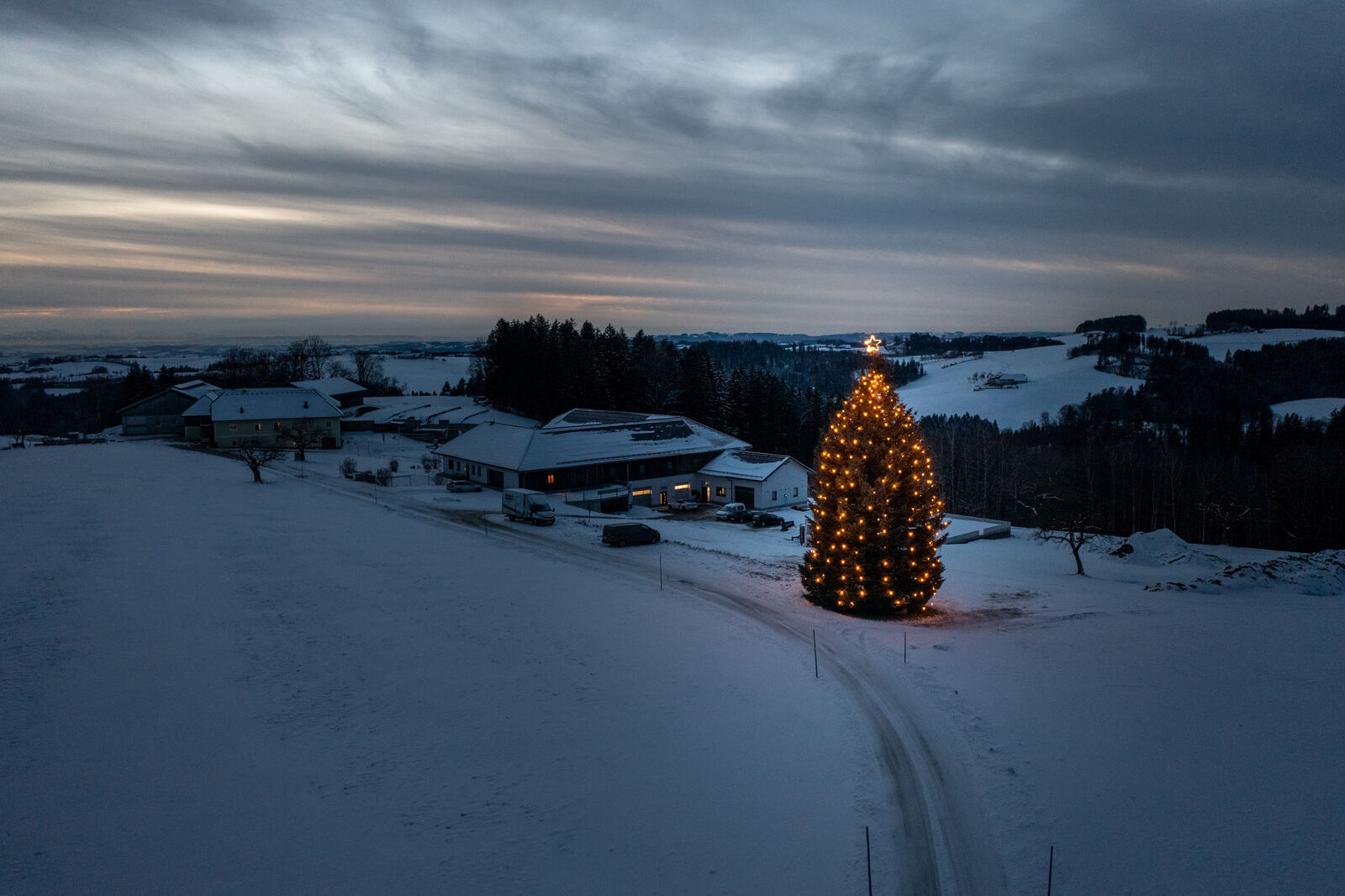 L’albero di Natale illuminato di MPW nel paesaggio invernale