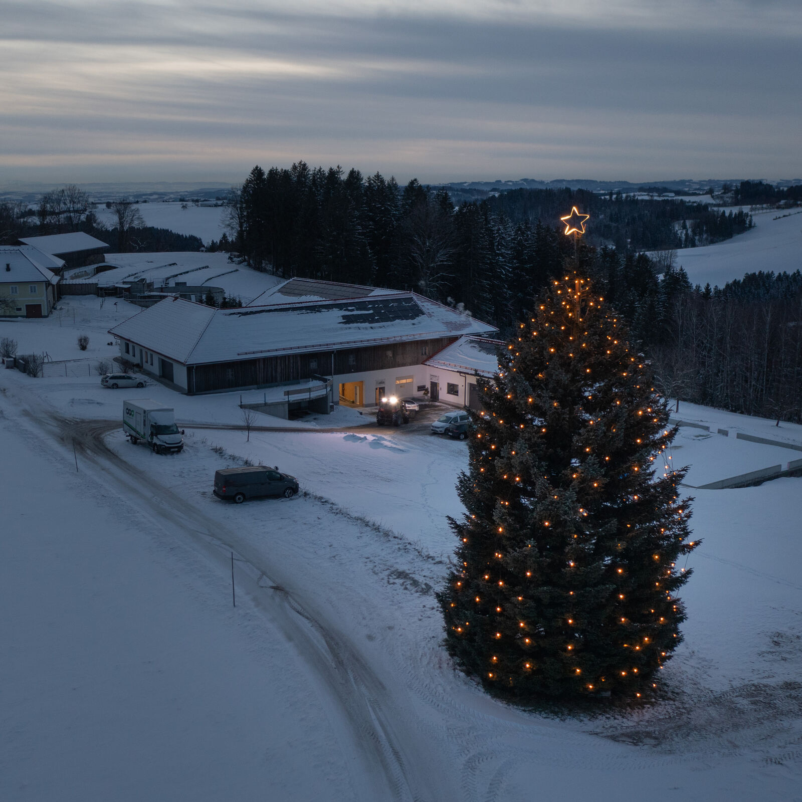 L’albero di Natale illuminato di MPW davanti alla sede dell’azienda a Eidenberg